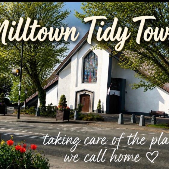 Tidy Town's Posters