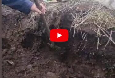 Tip #6: Turning Garden Waste into Compost