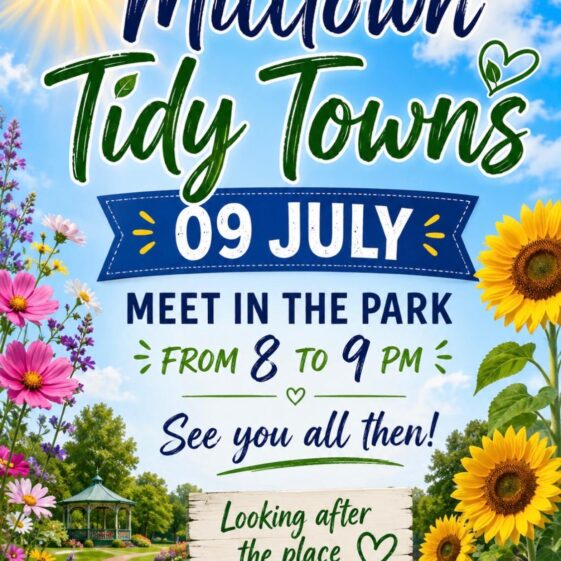 Tidy Town's Posters