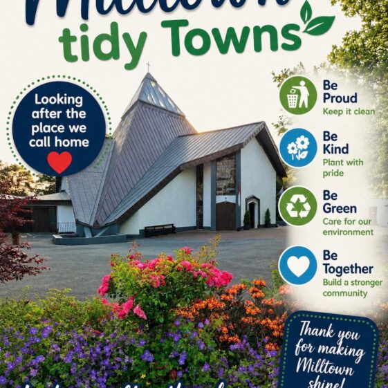 Tidy Town's Posters