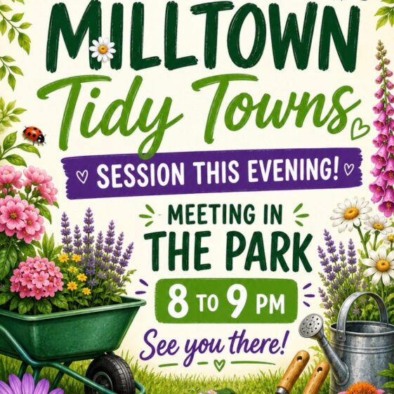 Tidy Town's Posters