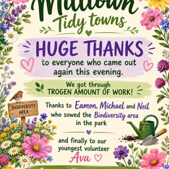 Tidy Town's Posters