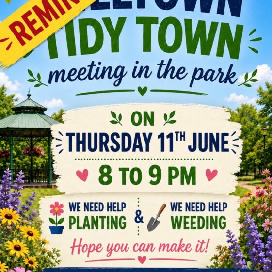 Tidy Town's Posters