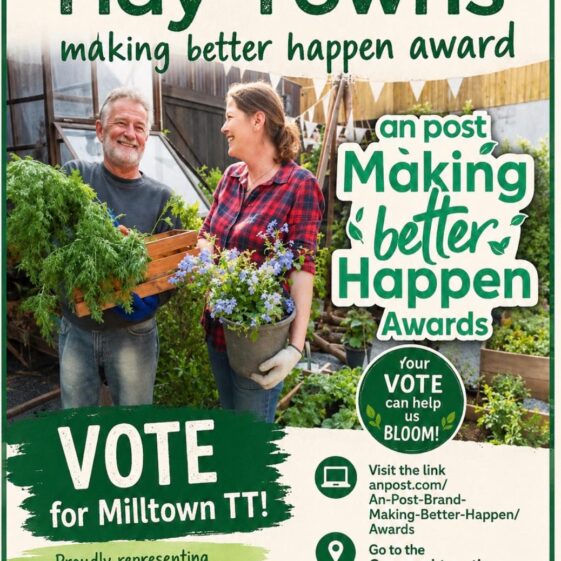 Tidy Town's Posters