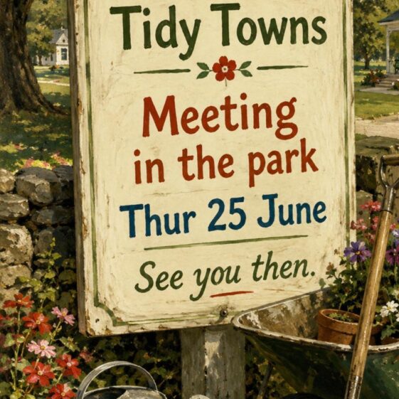 Tidy Town's Posters