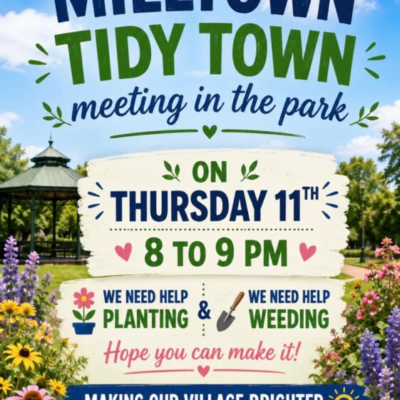Tidy Towns Get Together