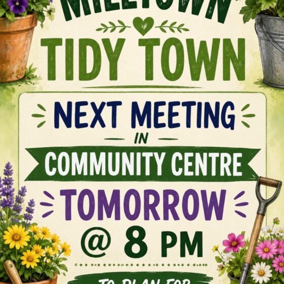 Tidy Towns Get Together