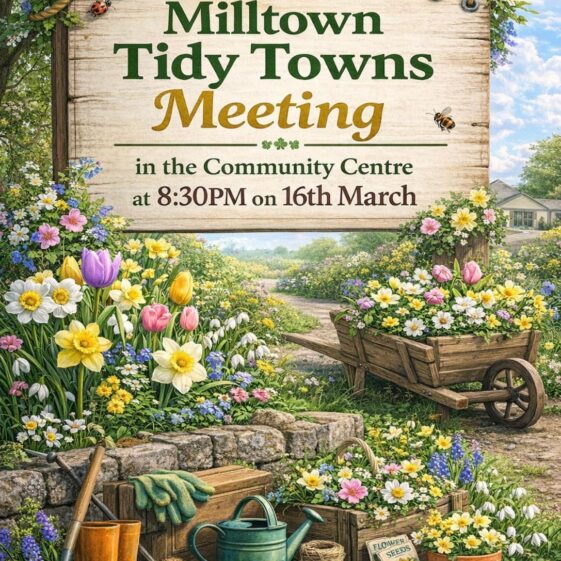 Tidy Towns Get Together