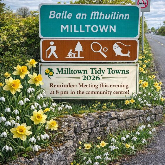 Tidy Towns Get Together