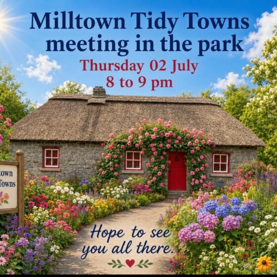 Tidy Town's Posters