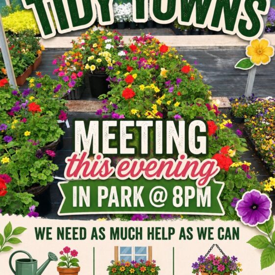 Tidy Towns Get Together