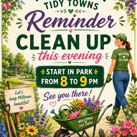 Tidy Towns Get Together