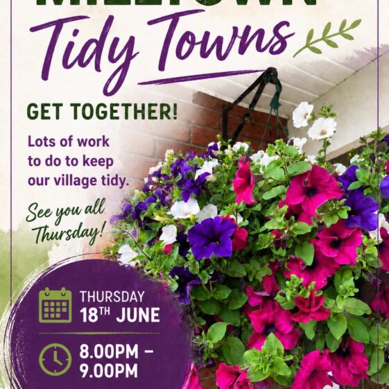 Tidy Towns Get Together | Ita Mannion 