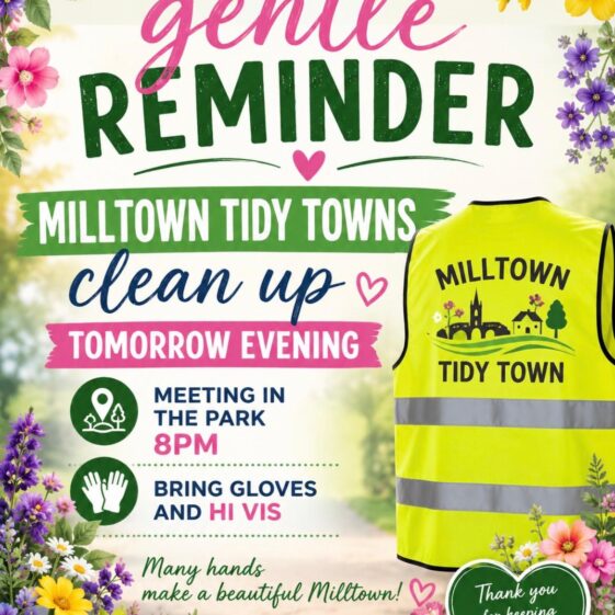 Tidy Towns Get Together
