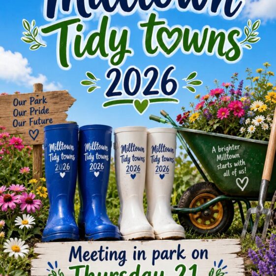 Tidy Towns Get Together