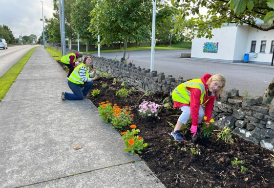 Tidy Towns 12th June 2026