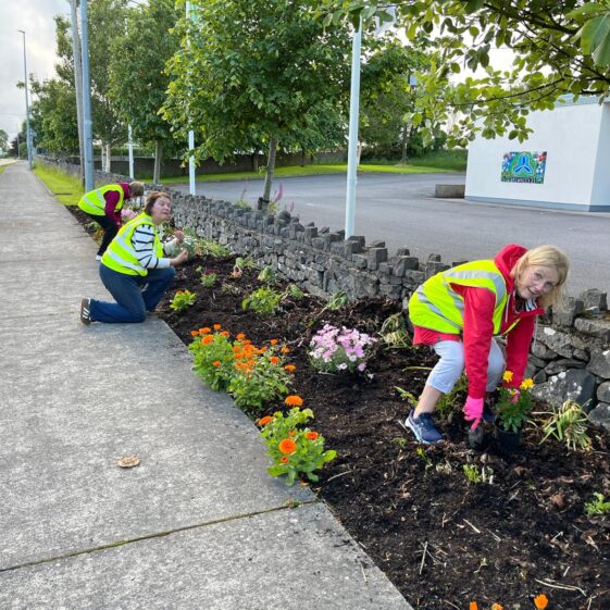 Tidy Towns 12th June 2026