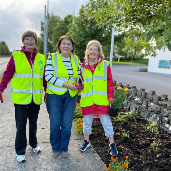Tidy Towns 12th June 2026