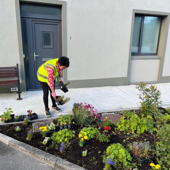 Tidy Towns 12th June 2026
