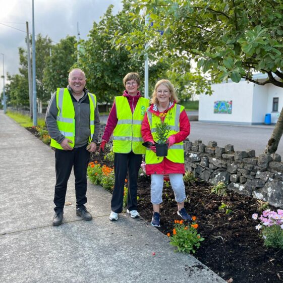 Tidy Towns 12th June 2026