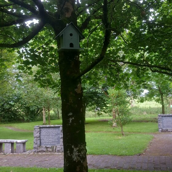 Milltown TT34 Tidy Towns 2nd July 2026