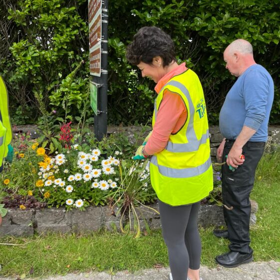 Milltown TT36 Tidy Towns 2nd July 2026