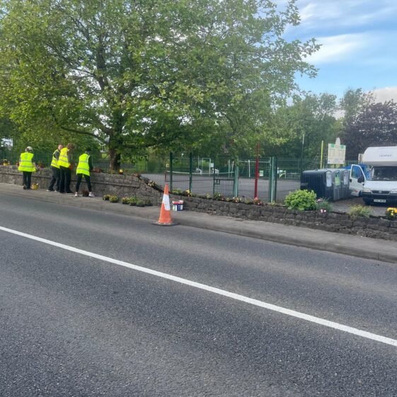 Tidy Towns 4th June 2026