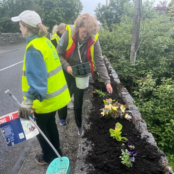 Tidy Towns 4th June 2026