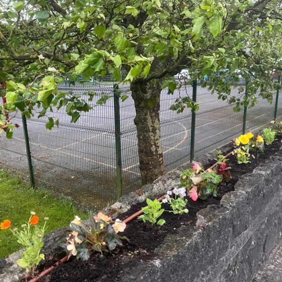 Tidy Towns 4th June 2026