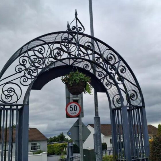 Tidy Towns 4th June 2026