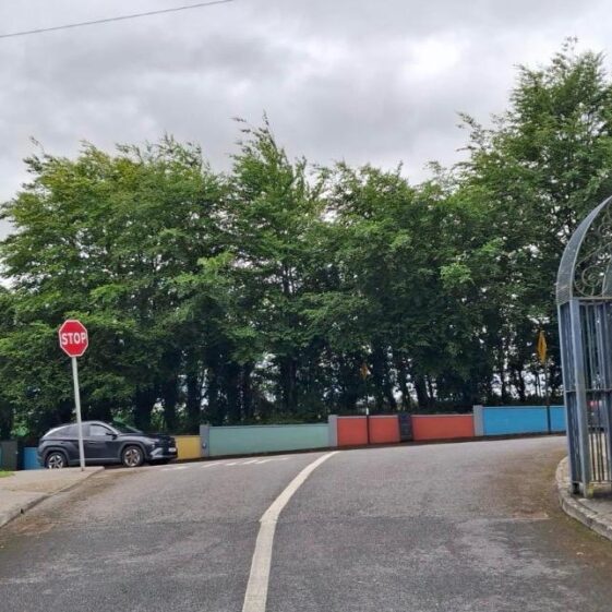 Tidy Towns 4th June 2026
