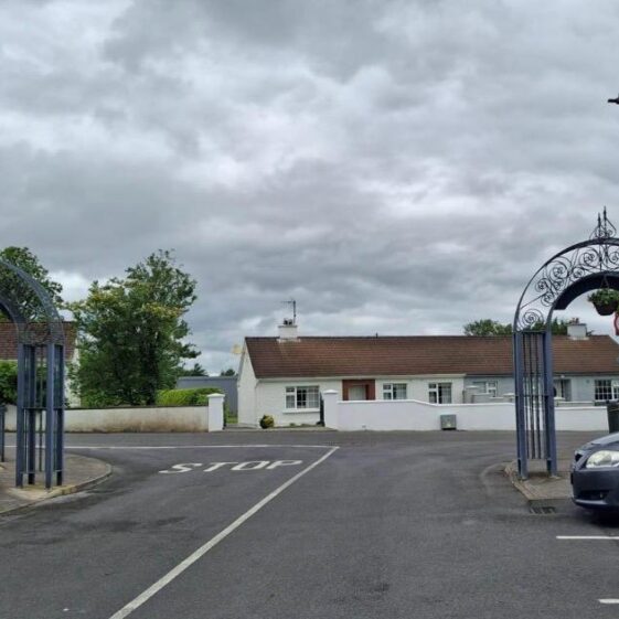 Tidy Towns 4th June 2026