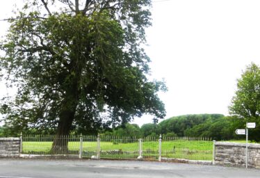 Protected Structures in Killererin
