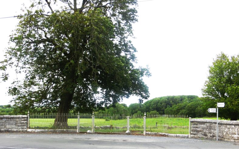 Entrance to Barbersfort House | Bernadette Forde - 2015