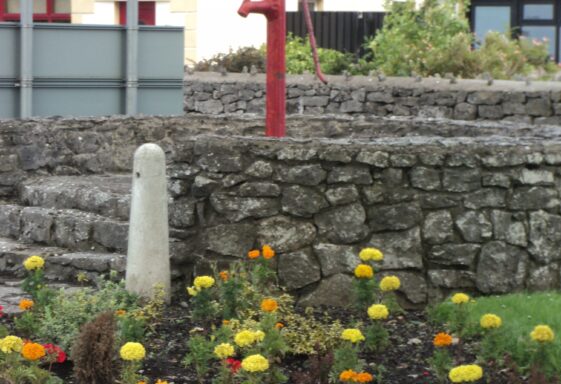 Parish Pump, Barnaderg