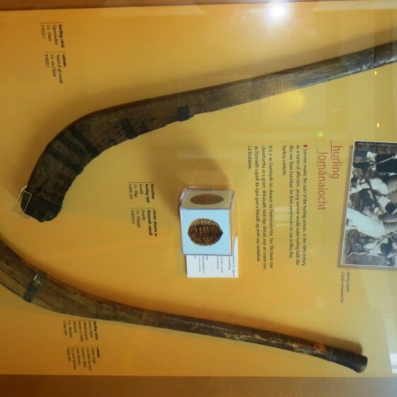 Ancient-hurleys Ancient hurleys from Ogonneloe, Co. Clare | Photo: B. Forde, Togher