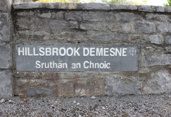 Hillsbrook Demesne