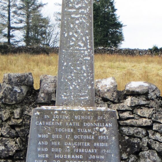 12.-Donnellan-Catherine-and-family-Togher Grave 12: Donnellan, Togher | Bernadette Forde, Killererin Heritage Society