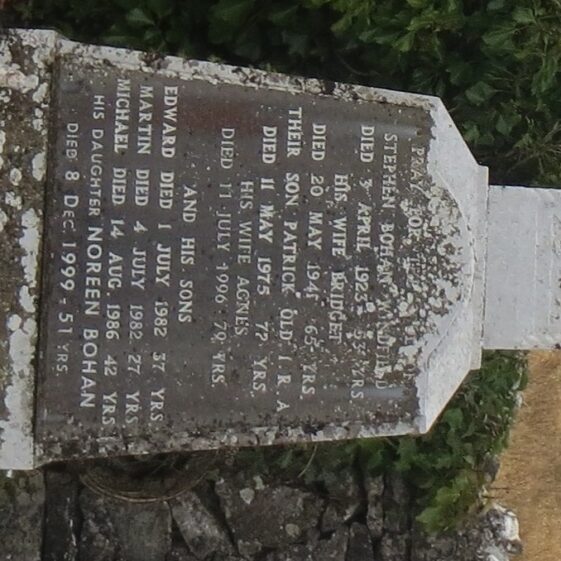 16.-Bohan-Stephen-and-famiy-Windfield Grave 16: Bohan family, Windfield | Bernadette Forde, Killererin Heritage Society