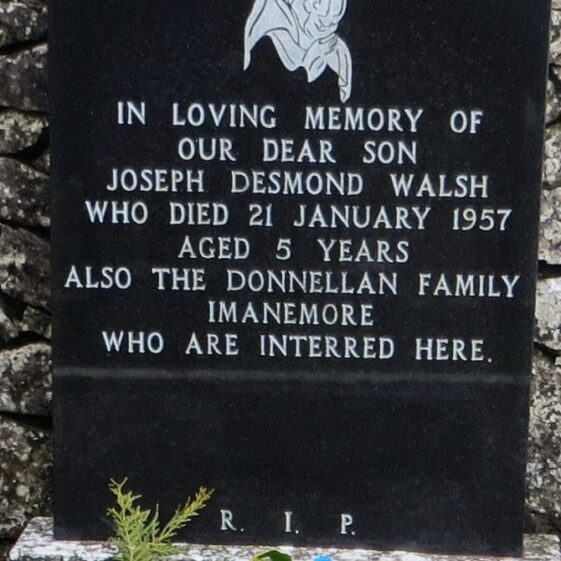 Grave 2.-Walsh-Jos.-Desmond-and-Donnellan-family-Imanemore Grave 2 - Headstone of the grave of Joseph Desmond Walsh and the Donnellan family, Imanemore | Bernadette Forde, Killererin Heritage Society