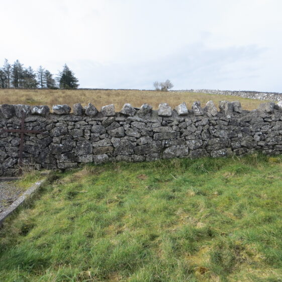 Grave 22.-Double-plot-no-marker Grave 22.-Double-plot-no-marker | Bernadette Forde, Killererin Heritage Society