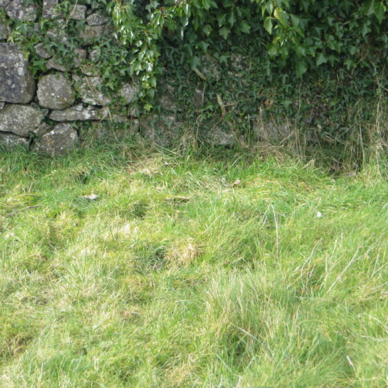 27.-No-marker Graave 27: Double plot, no marker | Bernadette Forde, Killererin Heritage Society