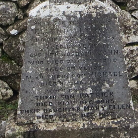 3A.-Dolly-family-Dangan-2 Grave 3A - Inscription on Grave of Dolly family Dangan, Ellen, John, Michael, Patrick, Mary Ellen and Gretta aged 6 months | Bernadette Forde, Killererin Heritage Society