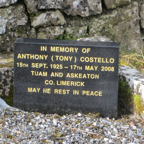 9.-Costello-Grange-and-Askeaton-9 Grave 9: --- ?, Mary, Anthony (Tony)
Tuam and Askeaton, Co. Limerick | Bernadette Forde, Killererin Heritage Society