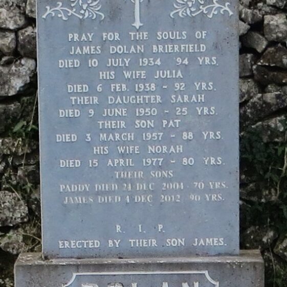 Dolan-James-and-family-Brierfield-26-2 Grave 26: Dolan family, Brierfield | Bernadette Forde, Killererin Heritage Society