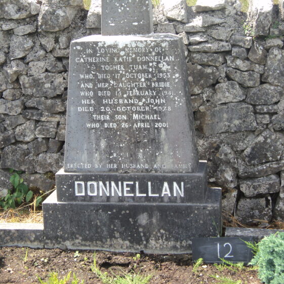 Donnellan-Catherine-and-family Grave 12: Donnellan, Togher | Bernadette Forde, Killererin Heritage Society