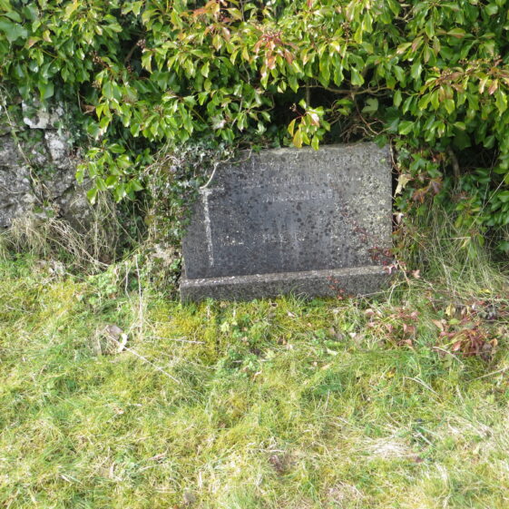 Grave 15: Kemple-family-Imanemore-2 Grave 15: Kemple Family, Imanemore | Bernadette Forde, Killererin Heritage Society