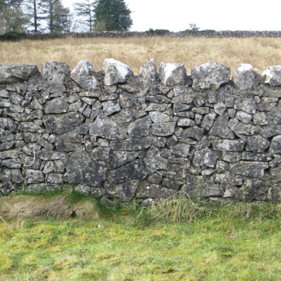 Plot-No.-13-no-marker-beside-Donnellan-grave-Togher Grave 13: Unmarked plot beside Donnellan grave in first row | Bernadette Forde, Killererin Heritage Society