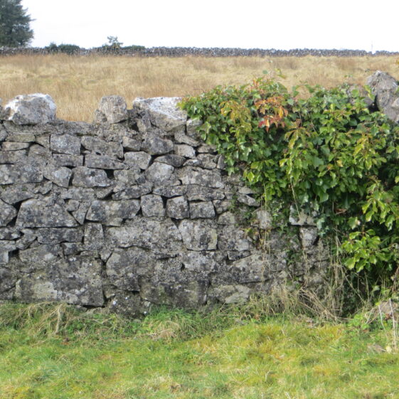 Plot-No.-14-no-marker-2nd-vacant-grave-beside-Donnellan-Togher Grave 14: Double plot - no marker