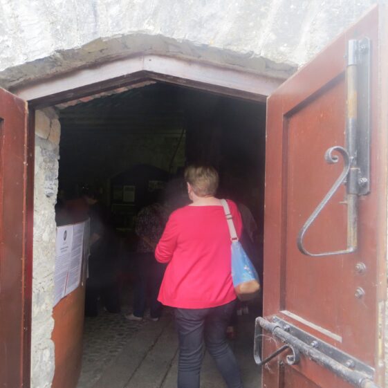 Eileen-on-the-way-in-to-forge Eileen, entering the premises | Bernadette Forde
